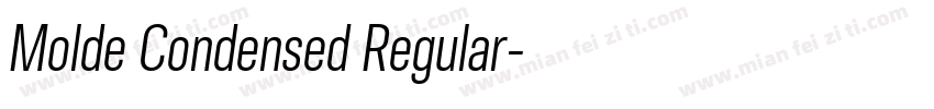 Molde Condensed Regular字体转换